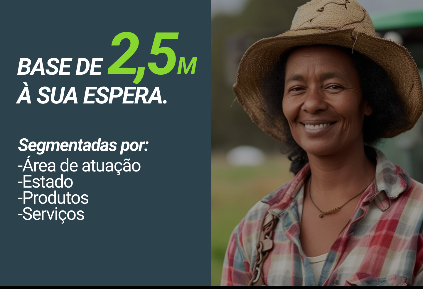 Informativo MF Rural